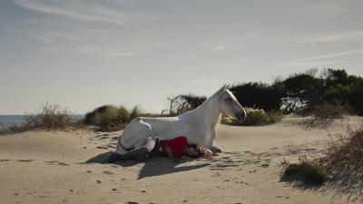 ein weißes Pferd und eine junge Frau liegen im Sand. 