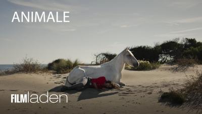 Embedded thumbnail
